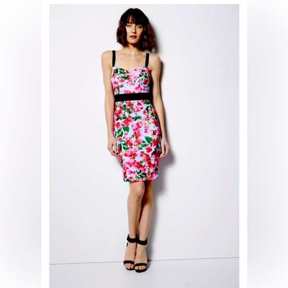 Milly for DesigNation Floral Scuba Dress Sz 6 - Picture 1 of 5